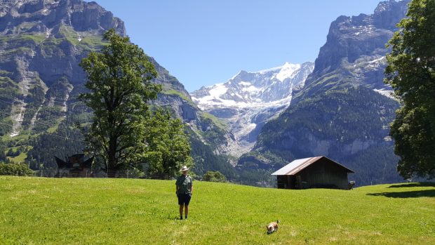 Swiss mountain view